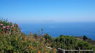 da di Volpe30-07-2015 22-56-55